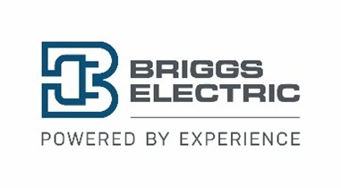 Briggs Electric